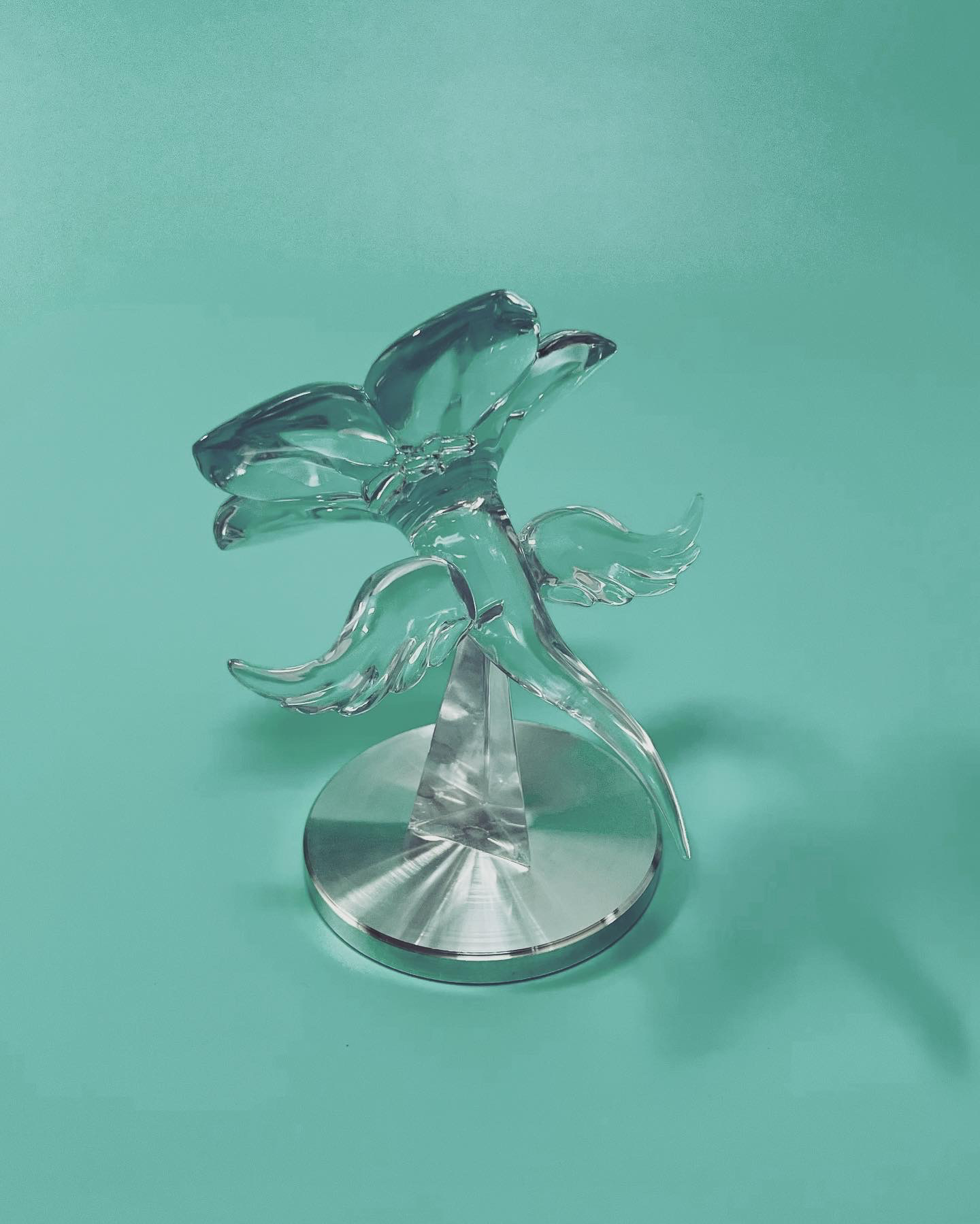 댕집사, 냥집사 전시 산책