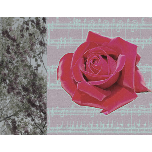 Nature’s Rhythm 2122