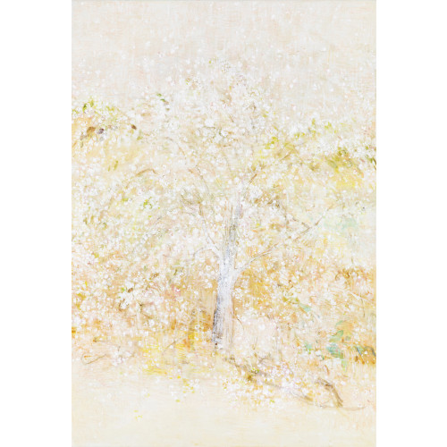 Afterimage 봄을 기다리는 나무