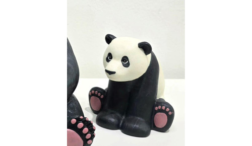 Panda Book