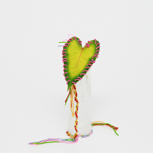 사랑했다고 말한다