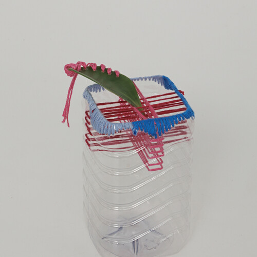 사랑했다고 말한다